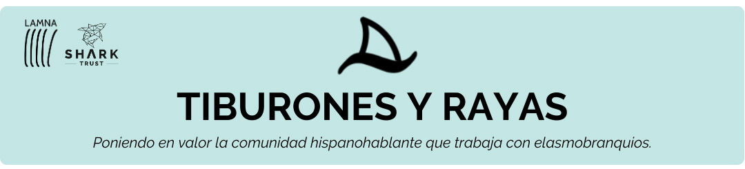 Tiburones y rayas