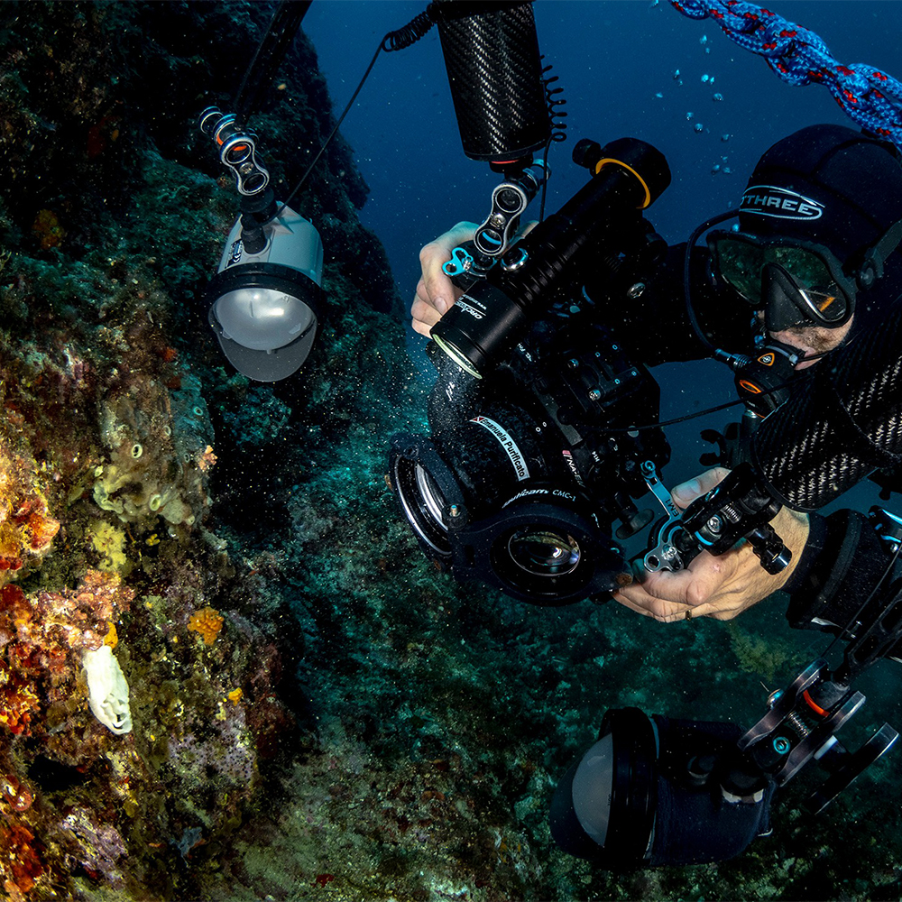 ORCA D710V-Action Linterna D710- Tres fuentes de iluminación en una: blanco, rojo y UV. - Blanco neutro máx. 2000 lúmenes, ángulo de haz super amplio de 120º. - Utiliza 1 batería recargable 21700 Li-ion. - Fácil manejo con interruptor de botón lateral de aleación de titanio. - Indicador de batería. - Función de bloqueo de seguridad, evita el funcionamiento incorrecto. - Protección inteligente contra sobrecalentamiento. - Protección contra sobredescarga. - Construcción resistente a la presión del agua, hasta 150 metros de profundidad. - Protección contra polaridad inversa para evitar la instalación incorrecta de la batería. - Fabricado en aluminio A6061-T6 de alta resistencia. - Acabado anodizado duro Mil-Spec Tipo III para mayor durabilidad y resistencia a la corrosión. - Cristal templado revestido por dos lados con alta resistencia a la presión del agua para aguas profundas. en acción