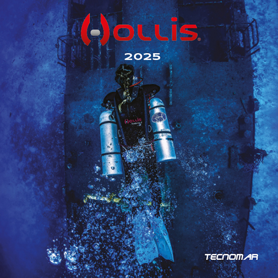 Catálogo Hollis 2025